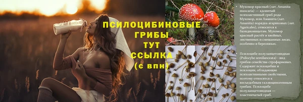 mdpv Богородск