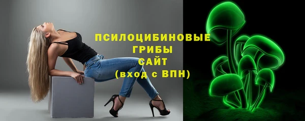 mdpv Богородск